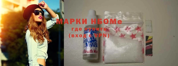 шишки Алзамай