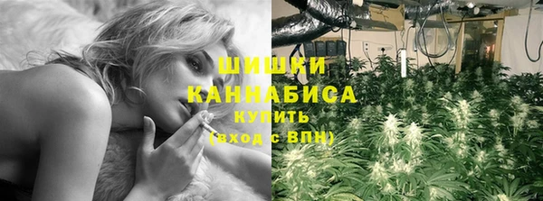 гидра Алексин