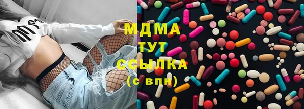 шишки Алзамай